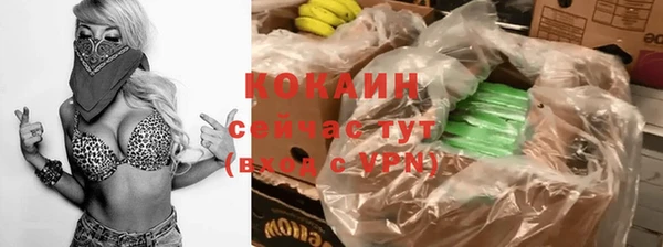 стафф Зерноград