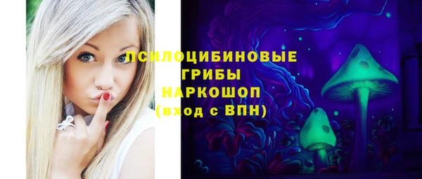 стафф Зерноград