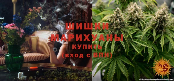 стафф Зерноград